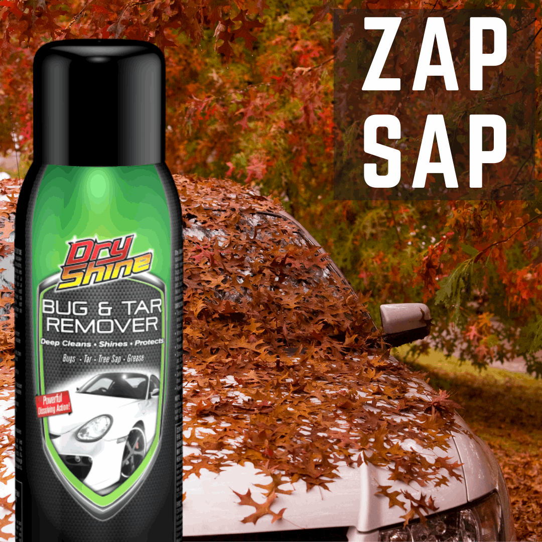 The Secret To Tree Sap Removal, Tar Removal, and Bug Removal From